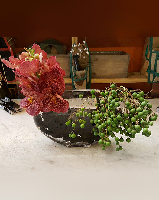 Tjflowers 0216