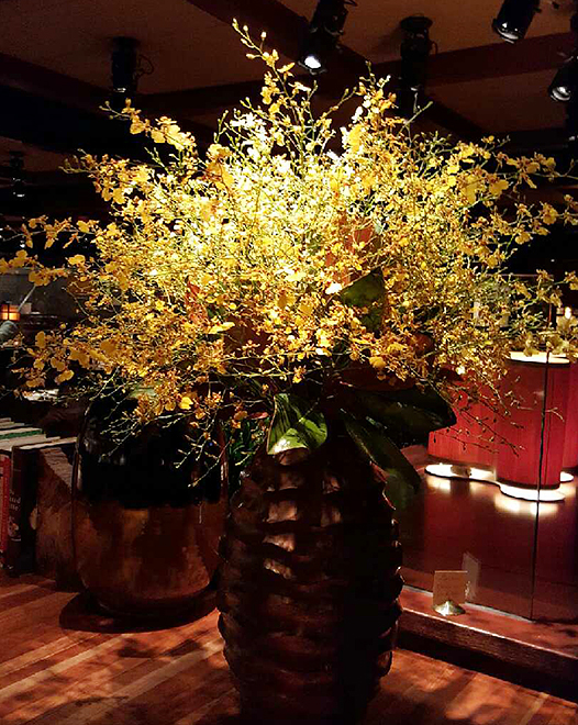 Tjflowers 0223