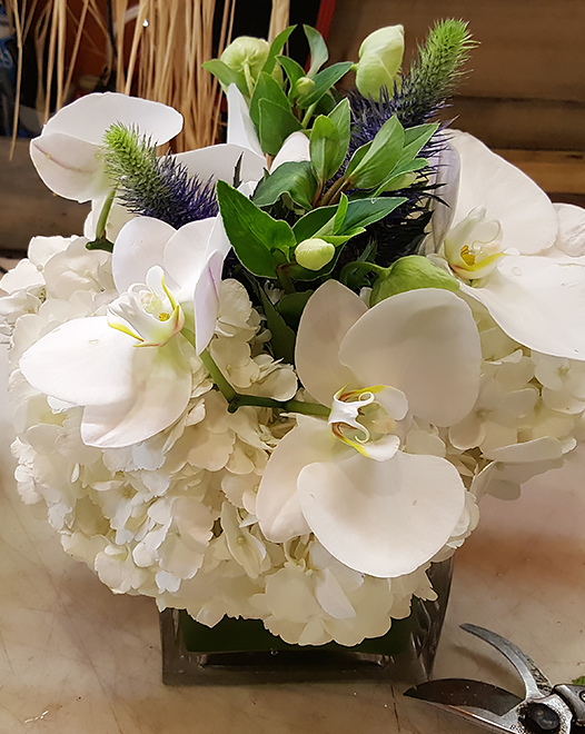 Tjflowers 0195