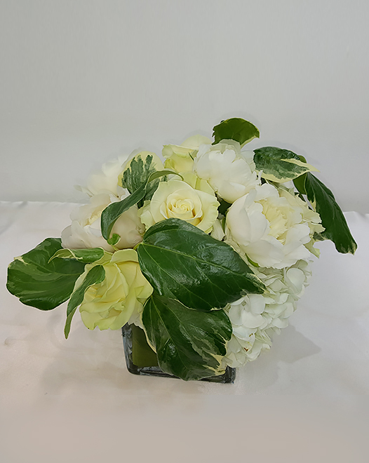 Tjflowers 0203