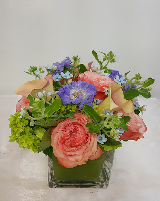 Tjflowers 0199