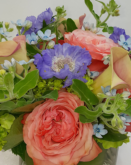 Tjflowers 0199