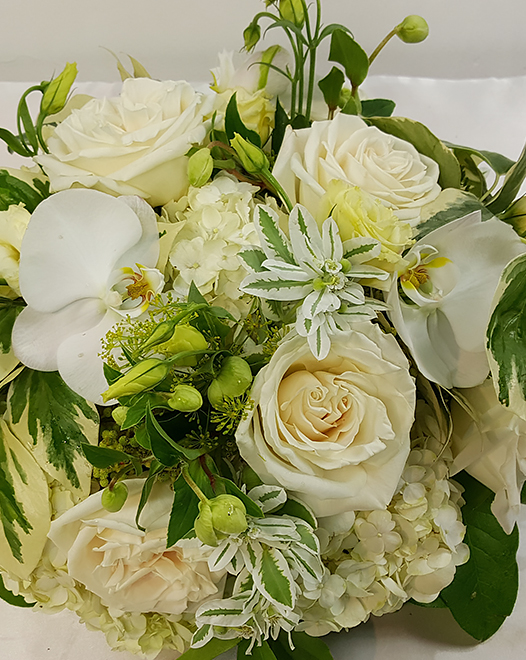 Tjflowers 0191