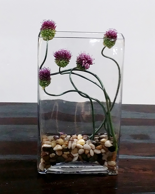 Tjflowers 0141