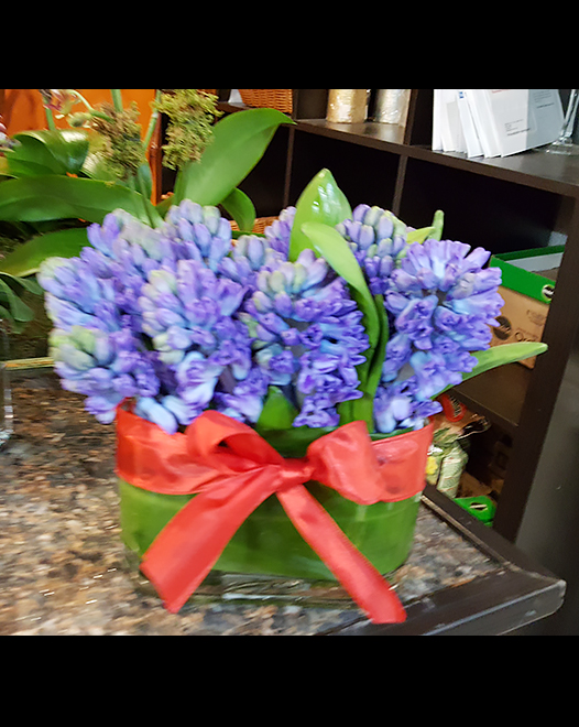 Tjflowers 0147