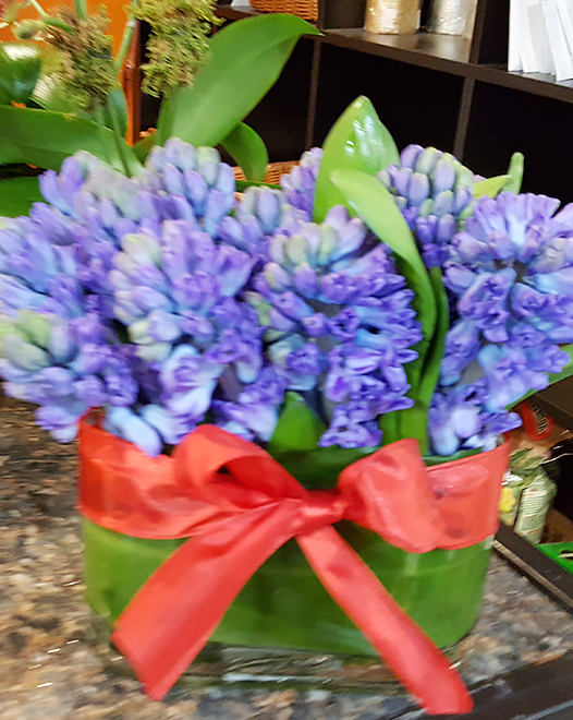 Tjflowers 0147