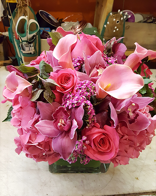 Tjflowers 0149