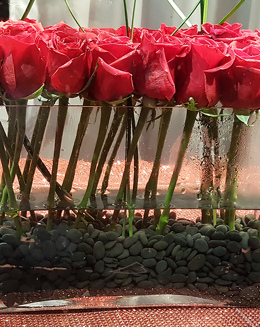 Tjflowers 0150