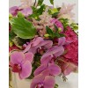 Tjflowers 0192