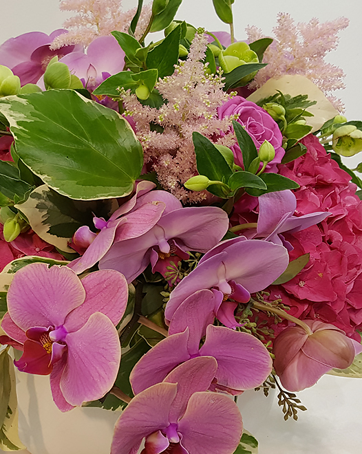 Tjflowers 0192