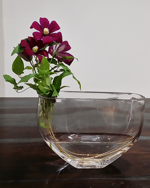 Tjflowers 0160