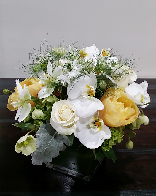 Tjflowers 0164