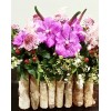Tjflowers 0168