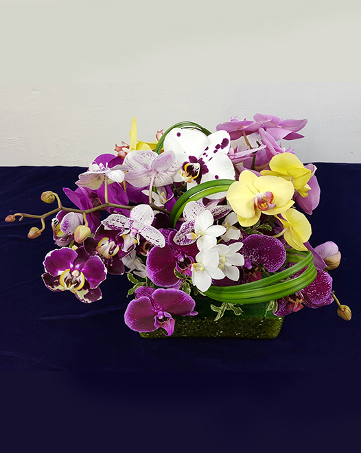 Tjflowers 0243