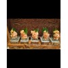 Tjflowers 0182