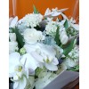 Tjflowers 0186