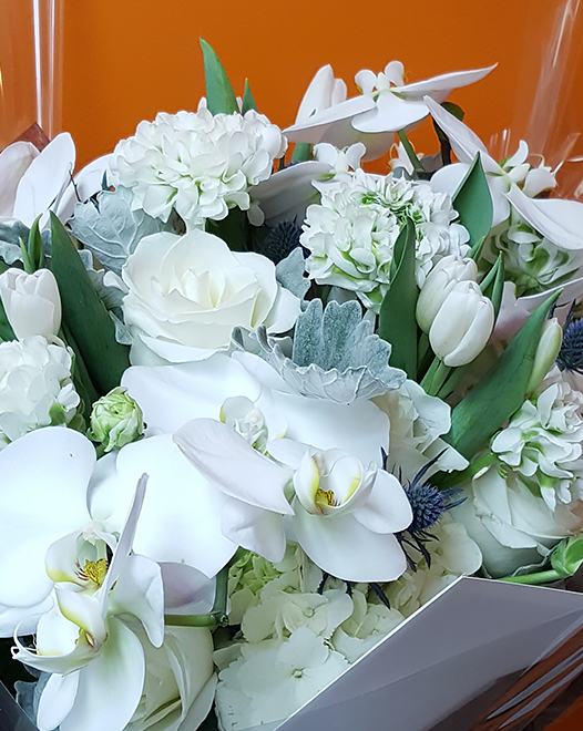 Tjflowers 0186