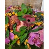 Tjflowers 0189