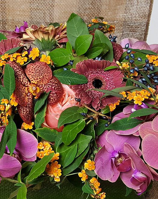 Tjflowers 0189