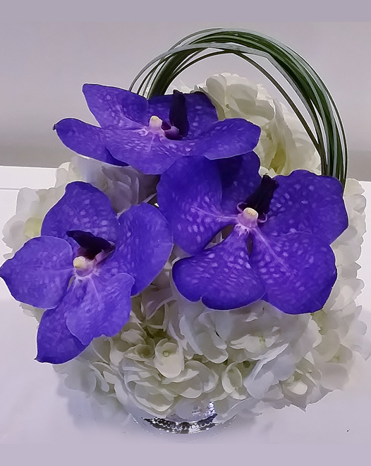 Tjflowers 0337