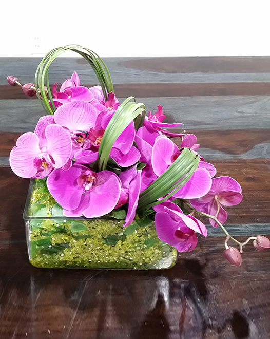 Tjflowers 0138