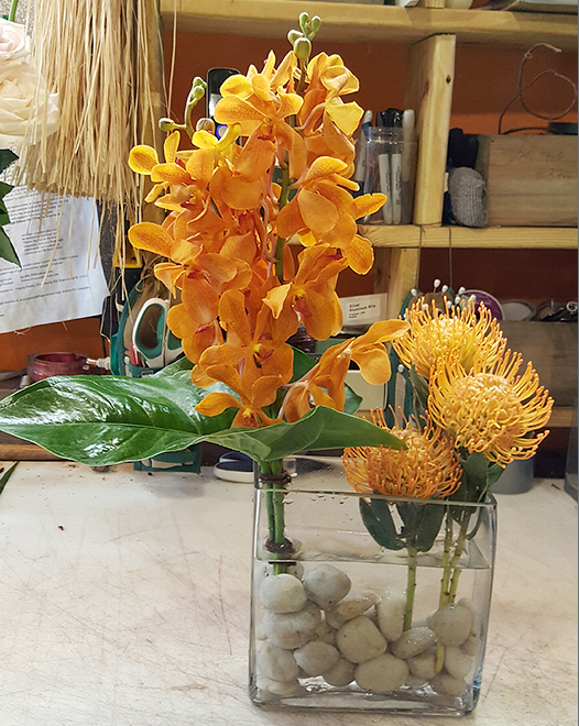 Tjflowers 0231