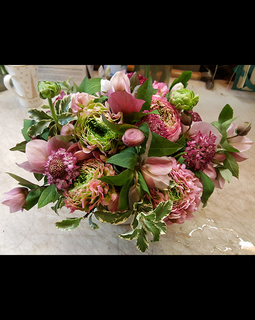 Tjflowers 0226