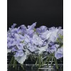 TJFlowers 0002