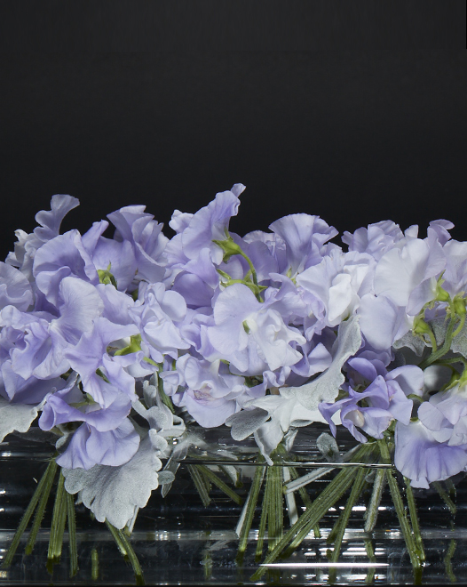TJFlowers 0002