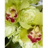 TJFlowers 0004