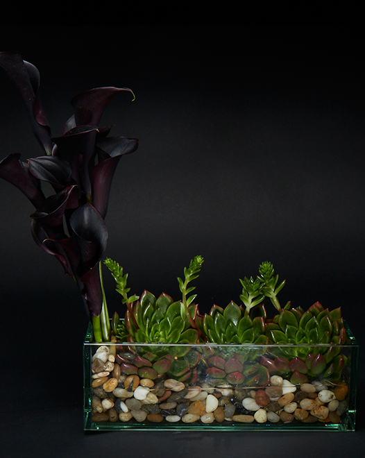 TJFlowers 0007