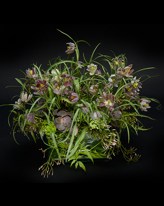TJFlowers 0010