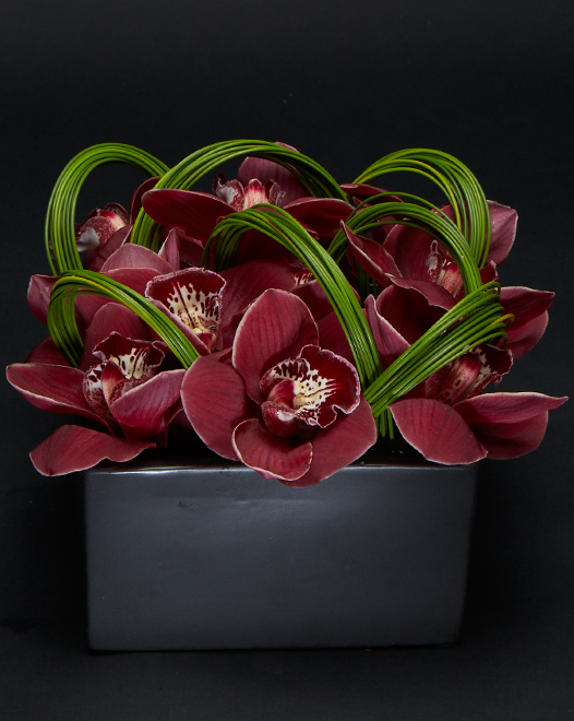 TJFlowers 0012