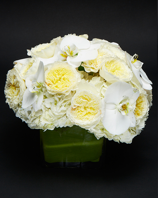 Tjflowers 0014