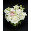 Tjflowers 0021