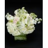 Tjflowers 0021