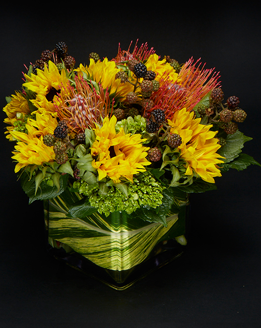 Tjflowers 0023