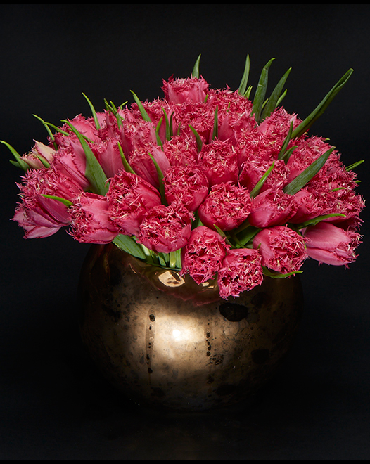Tjflowers 0025