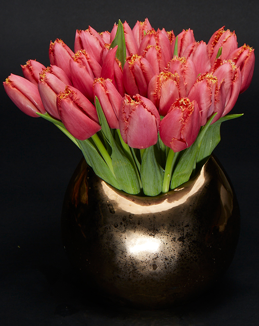 Tjflowers 0026