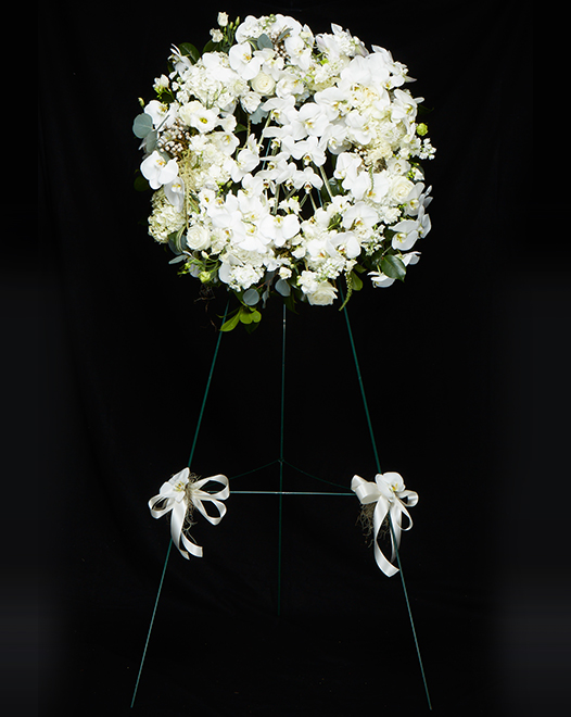 TJflowers 0088