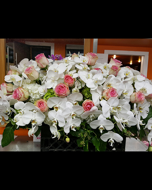 Tjflowers 0208