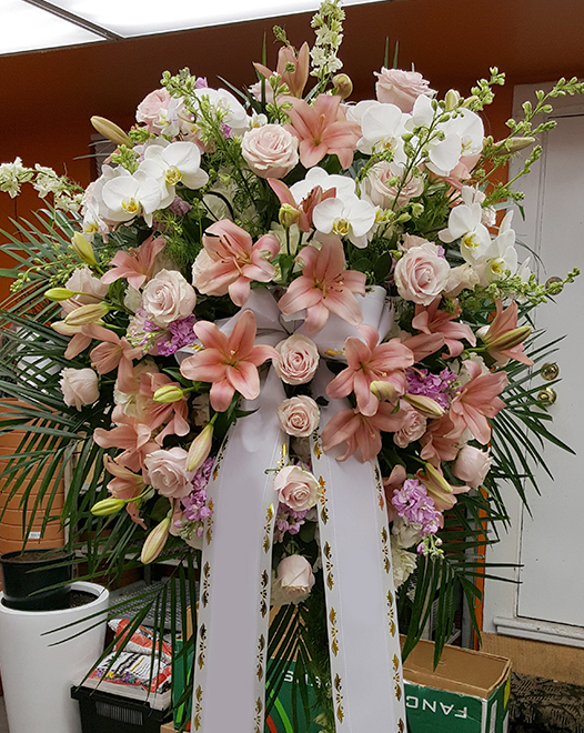 Tjflowers 0210