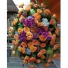 Tjflowers 0209