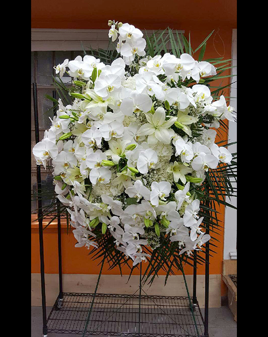 Tjflowers 0204