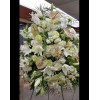 Tjflowers 0213