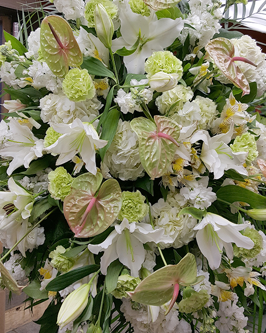 Tjflowers 0213