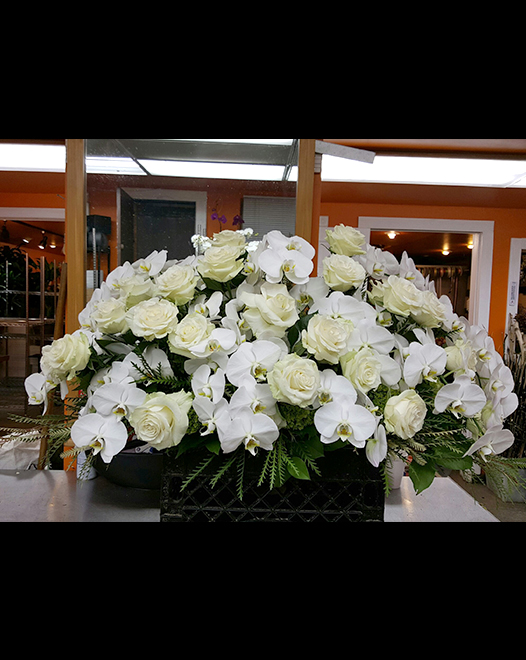 Tjflowers 0207