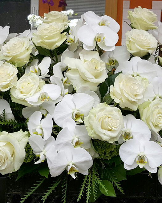 Tjflowers 0207
