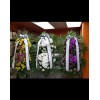 Tjflowers 0214