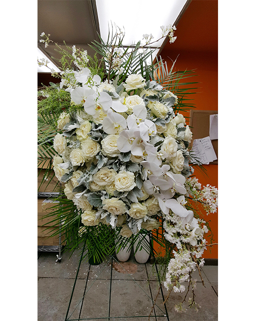Tjflowers 0364